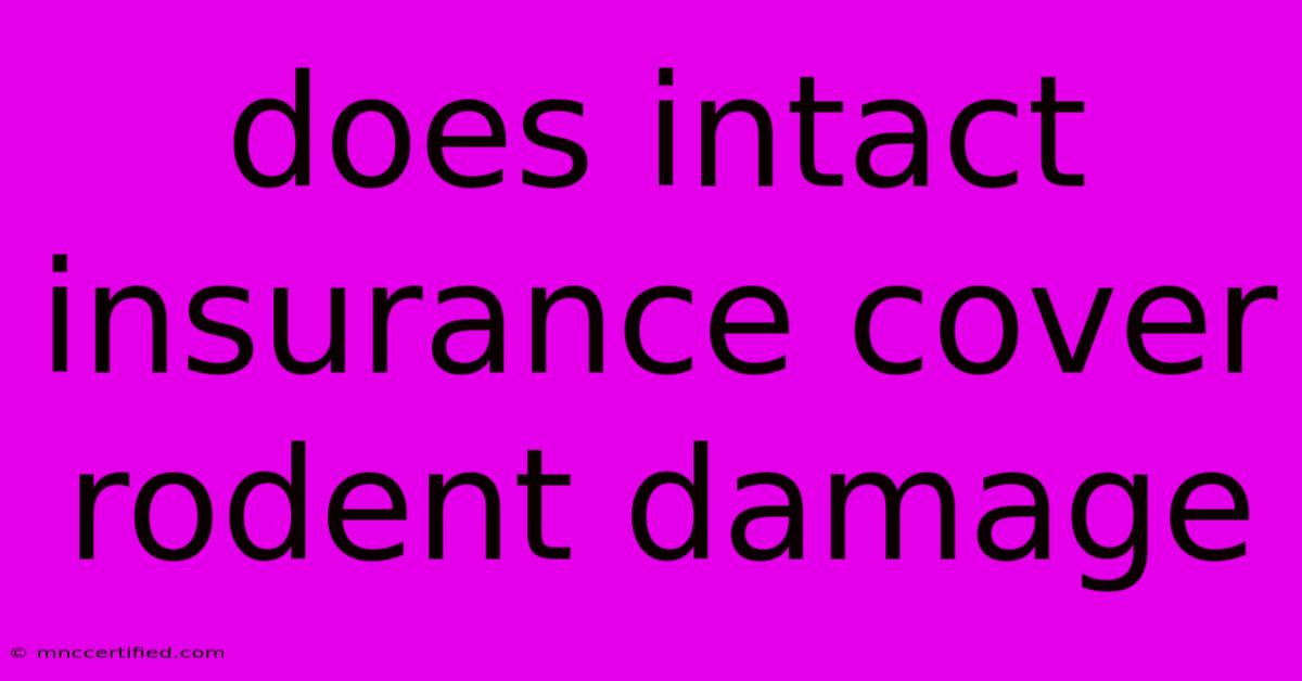 Does Intact Insurance Cover Rodent Damage