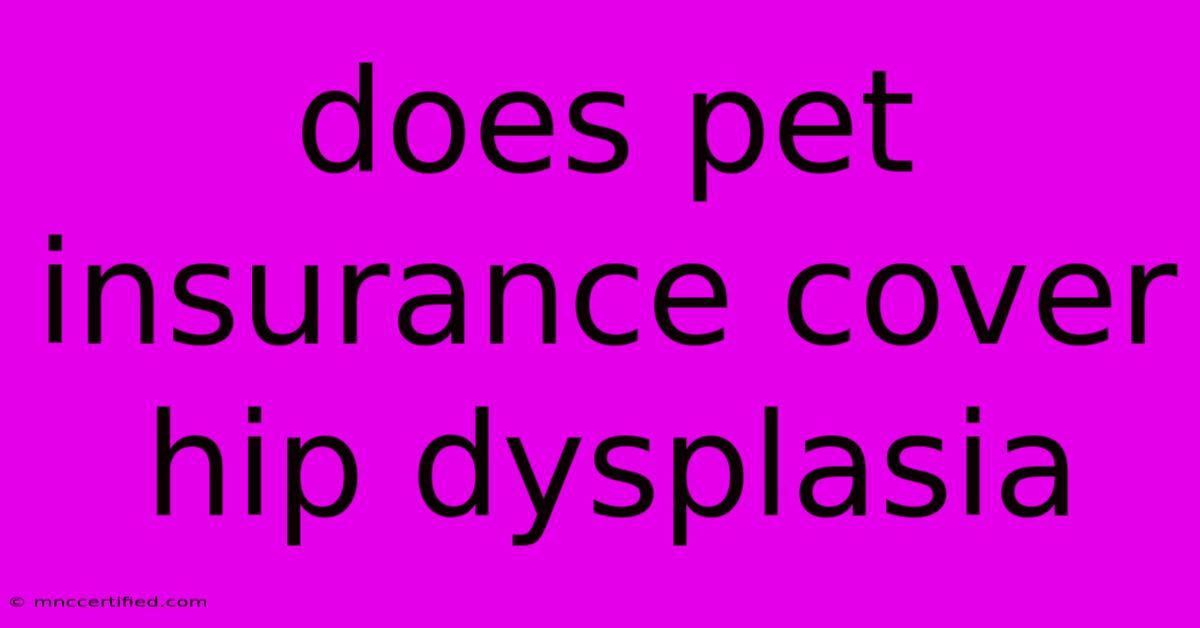 Does Pet Insurance Cover Hip Dysplasia