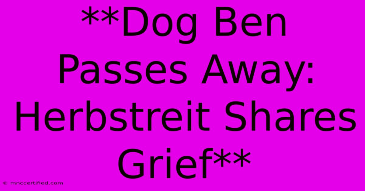 **Dog Ben Passes Away: Herbstreit Shares Grief**