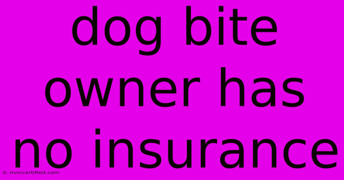 Dog Bite Owner Has No Insurance