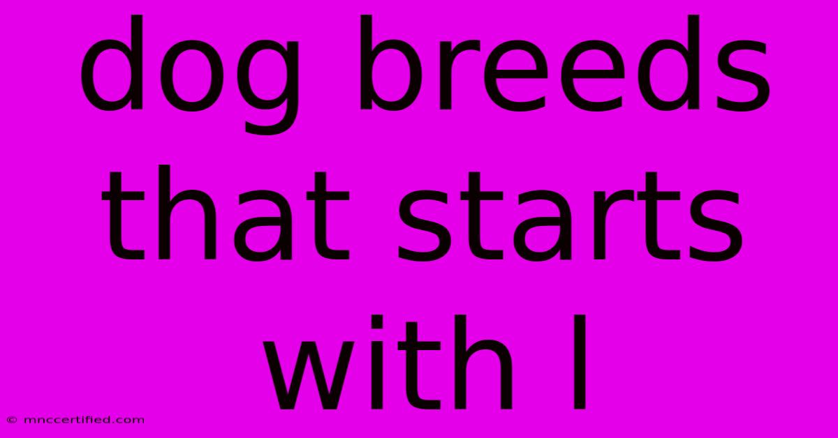 Dog Breeds That Starts With L