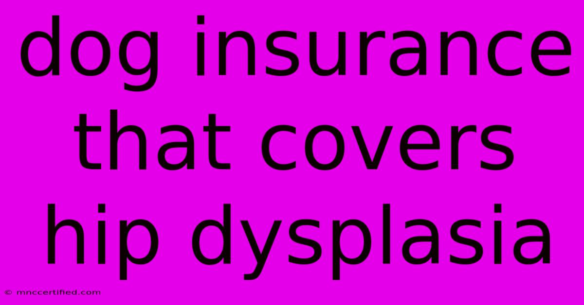 Dog Insurance That Covers Hip Dysplasia