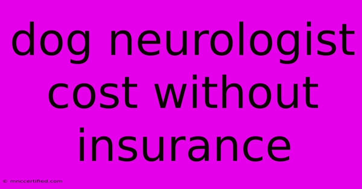 Dog Neurologist Cost Without Insurance