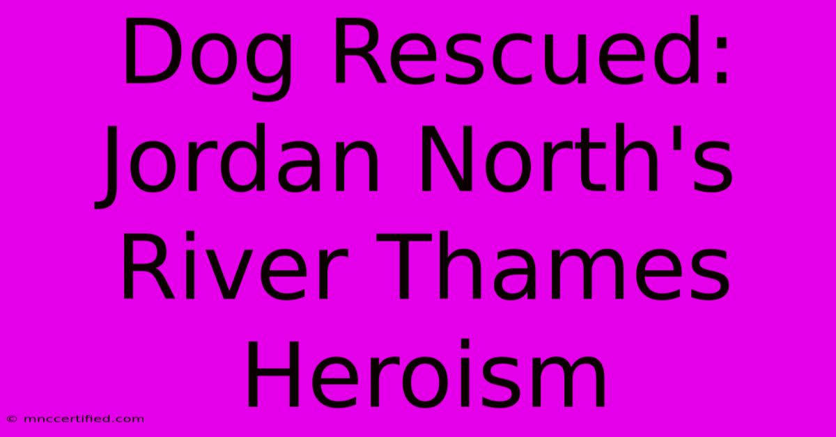 Dog Rescued: Jordan North's River Thames Heroism