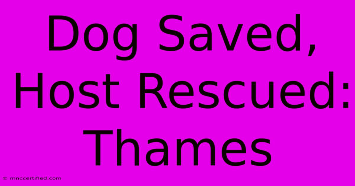 Dog Saved, Host Rescued: Thames