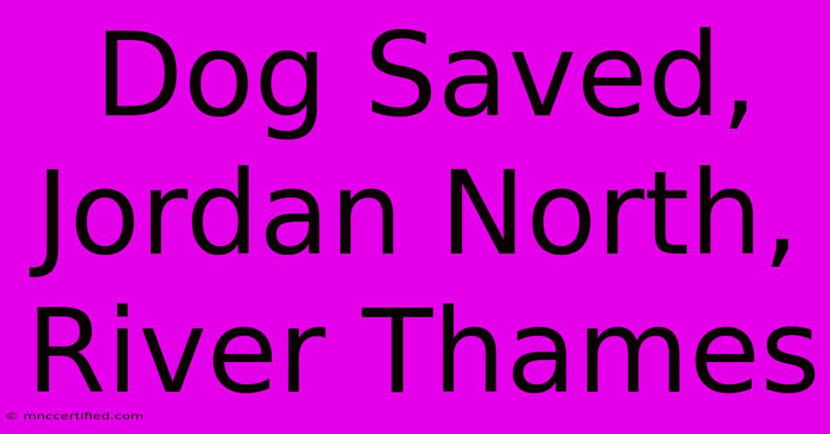 Dog Saved, Jordan North, River Thames