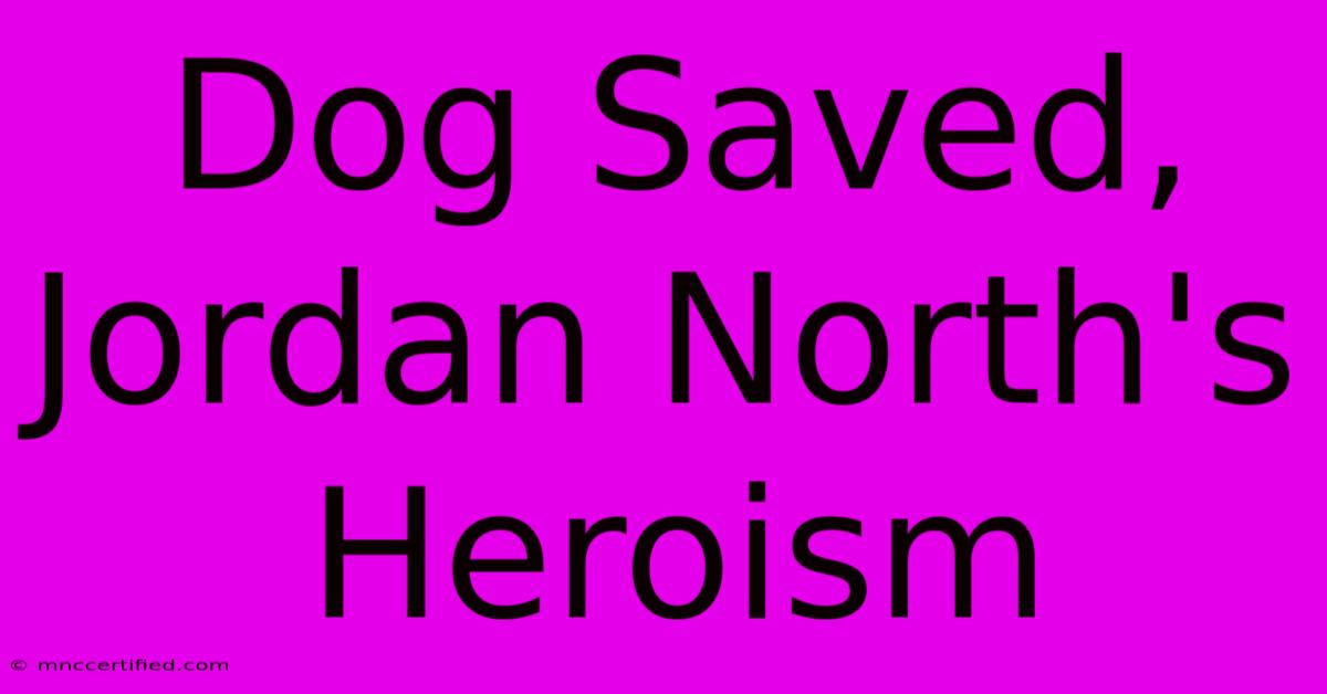 Dog Saved, Jordan North's Heroism