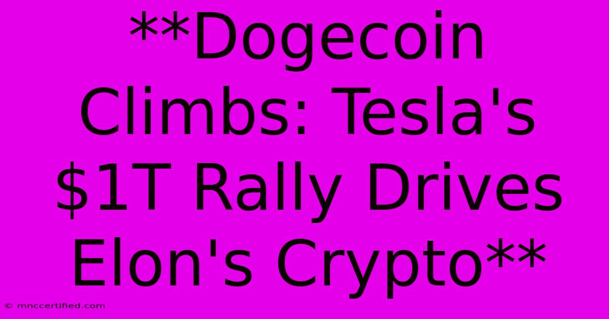 **Dogecoin Climbs: Tesla's $1T Rally Drives Elon's Crypto**