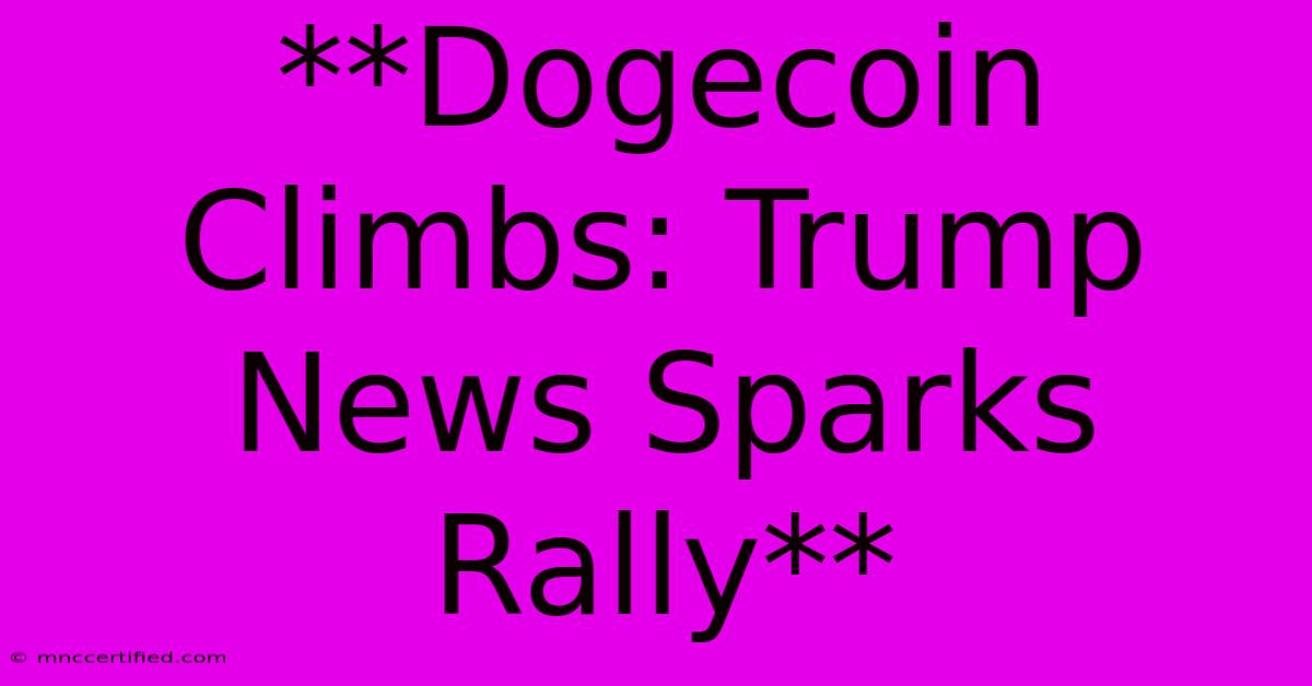 **Dogecoin Climbs: Trump News Sparks Rally**