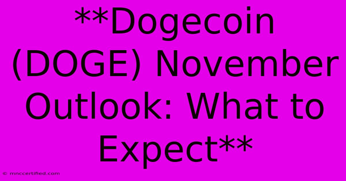 **Dogecoin (DOGE) November Outlook: What To Expect**