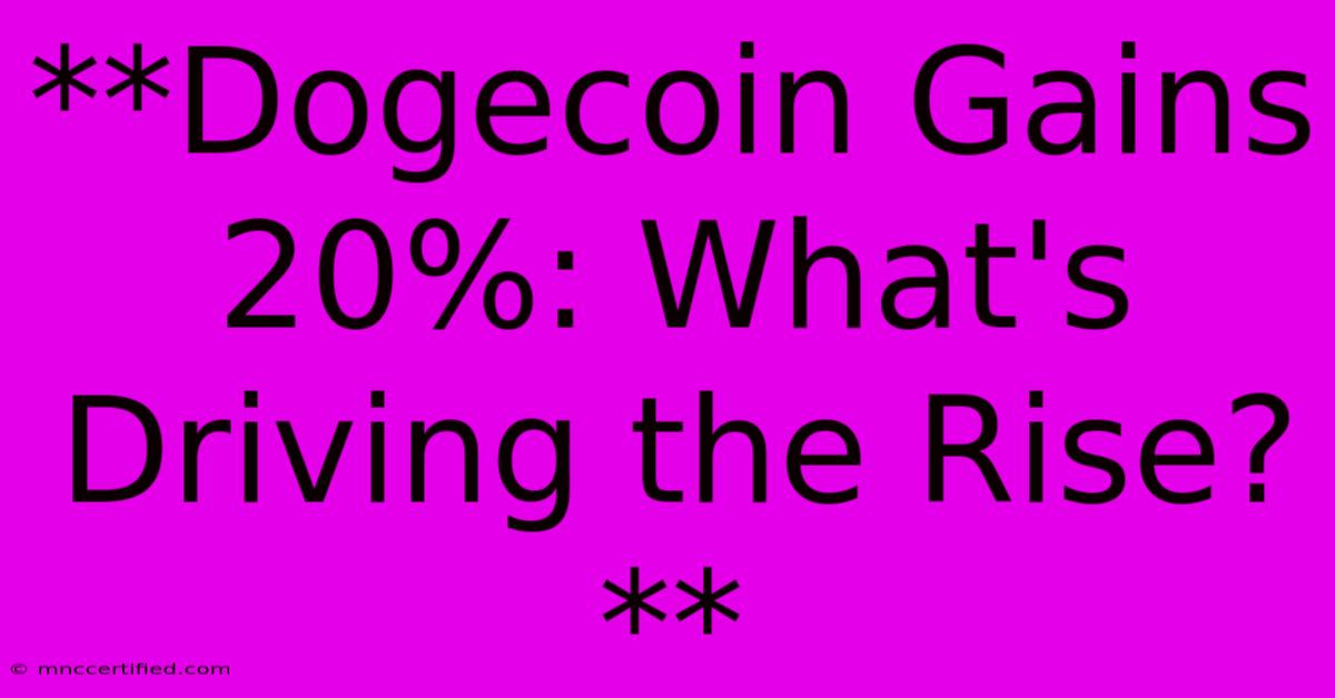 **Dogecoin Gains 20%: What's Driving The Rise?**