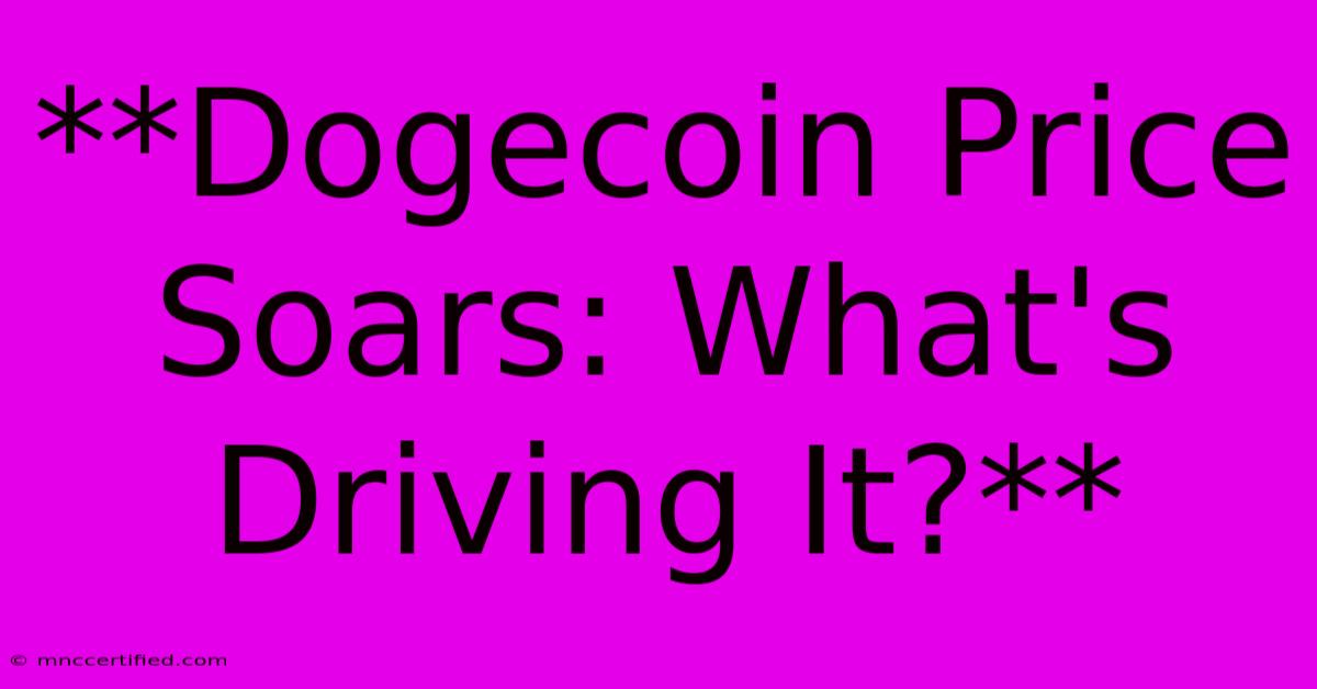 **Dogecoin Price Soars: What's Driving It?**