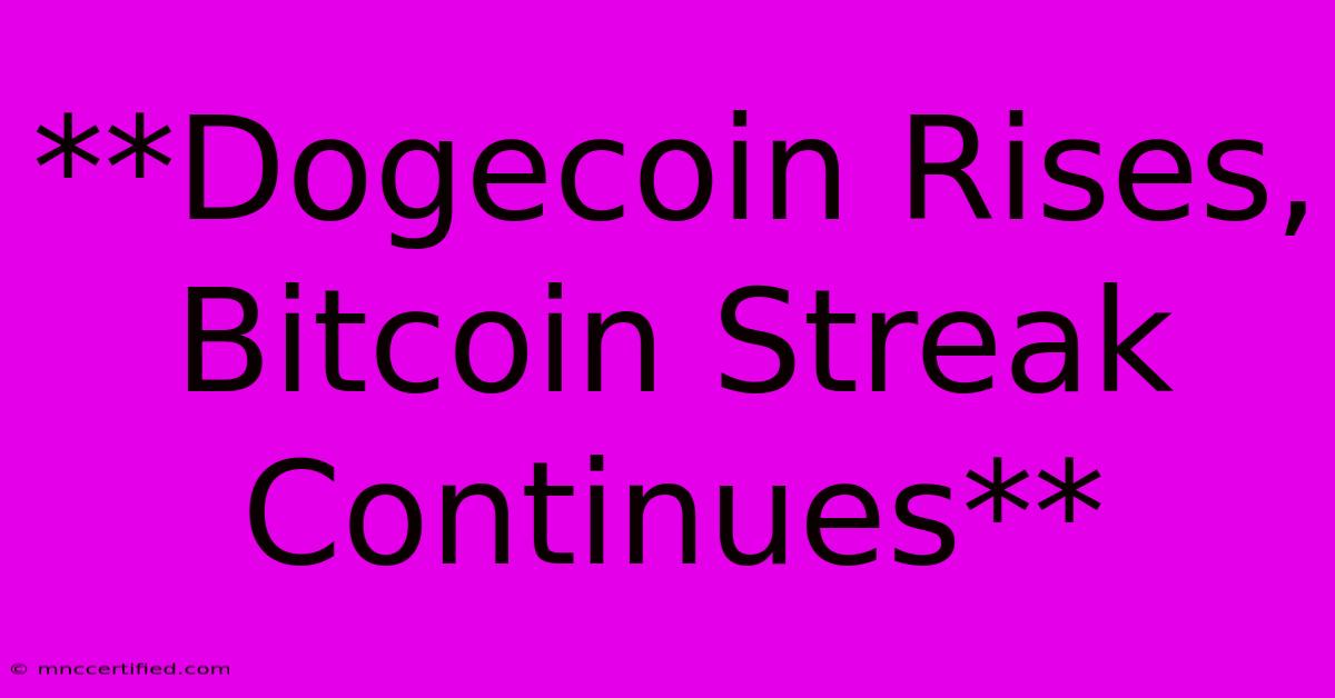 **Dogecoin Rises, Bitcoin Streak Continues**