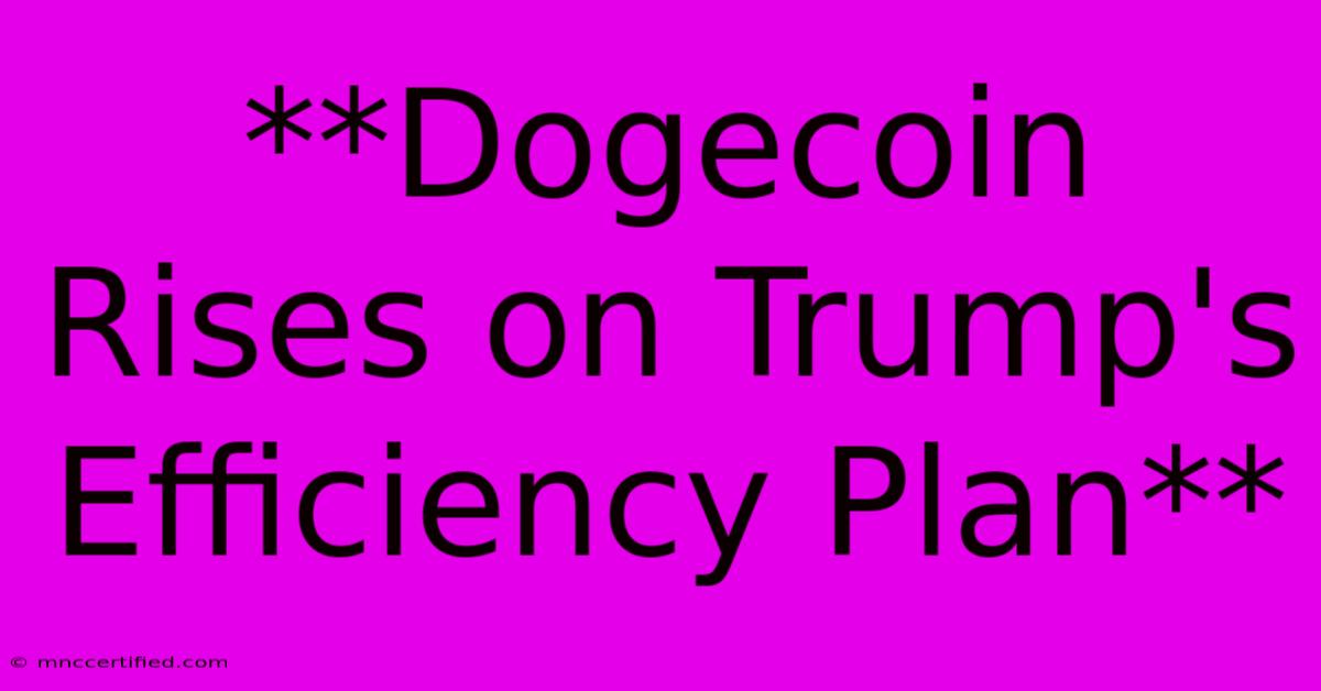 **Dogecoin Rises On Trump's Efficiency Plan**