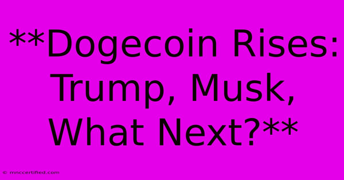 **Dogecoin Rises: Trump, Musk, What Next?**