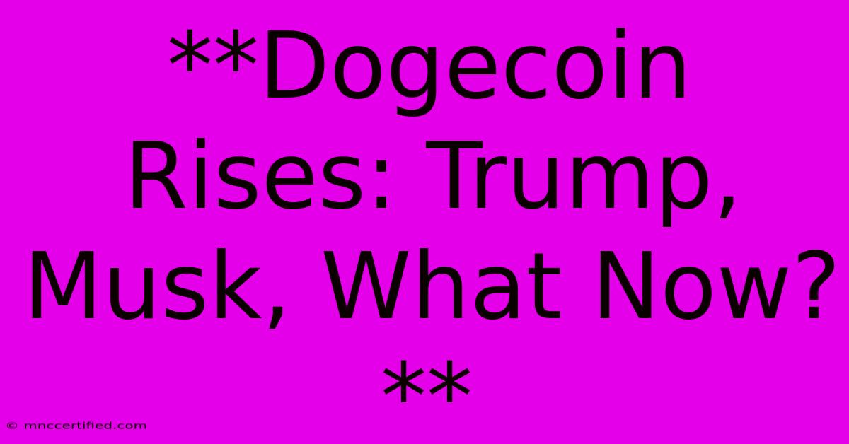 **Dogecoin Rises: Trump, Musk, What Now?**