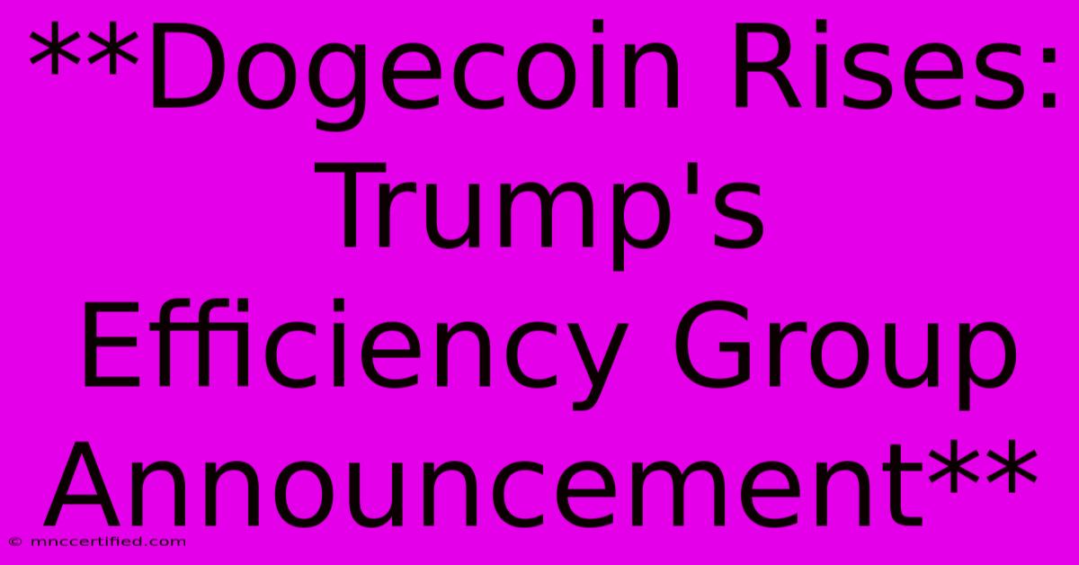 **Dogecoin Rises: Trump's Efficiency Group Announcement**