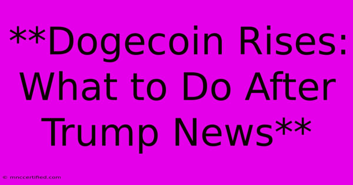 **Dogecoin Rises: What To Do After Trump News**