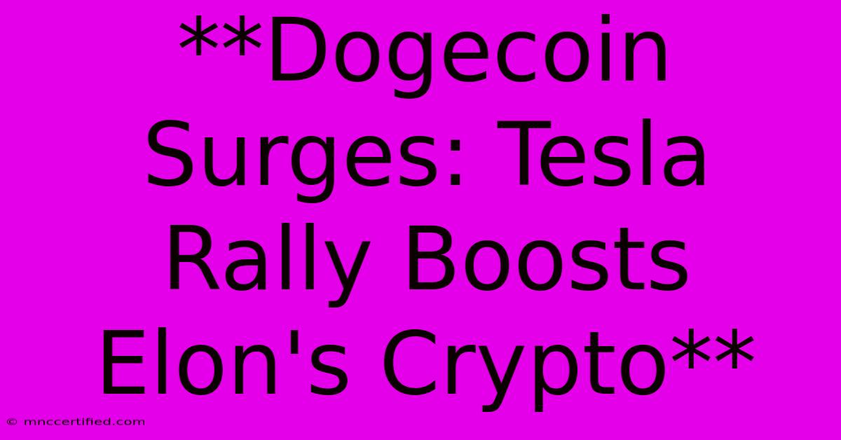 **Dogecoin Surges: Tesla Rally Boosts Elon's Crypto**