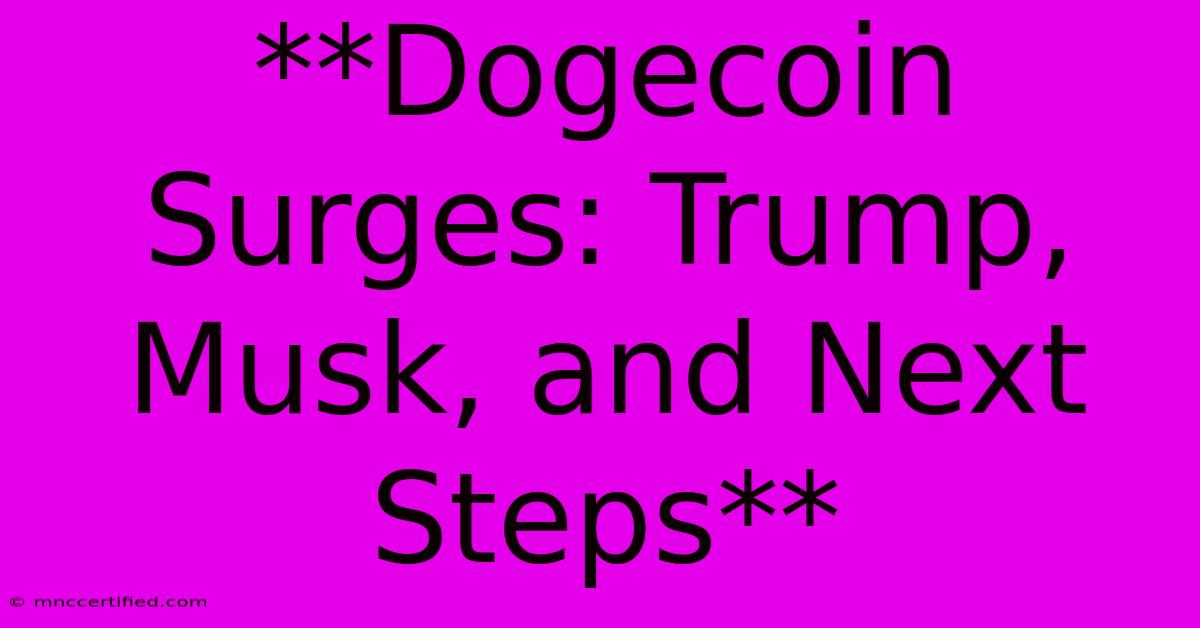 **Dogecoin Surges: Trump, Musk, And Next Steps**