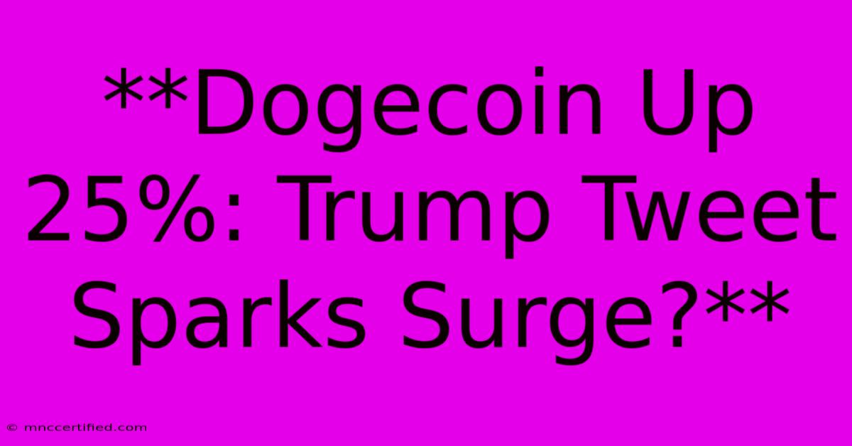 **Dogecoin Up 25%: Trump Tweet Sparks Surge?** 