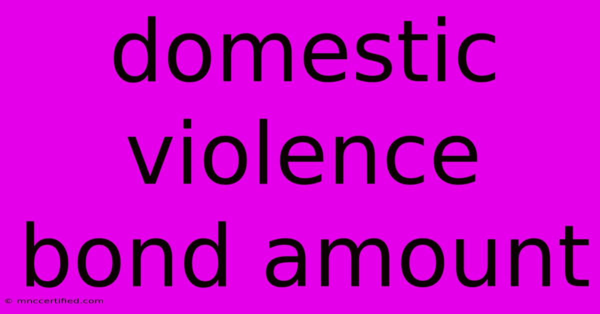 Domestic Violence Bond Amount