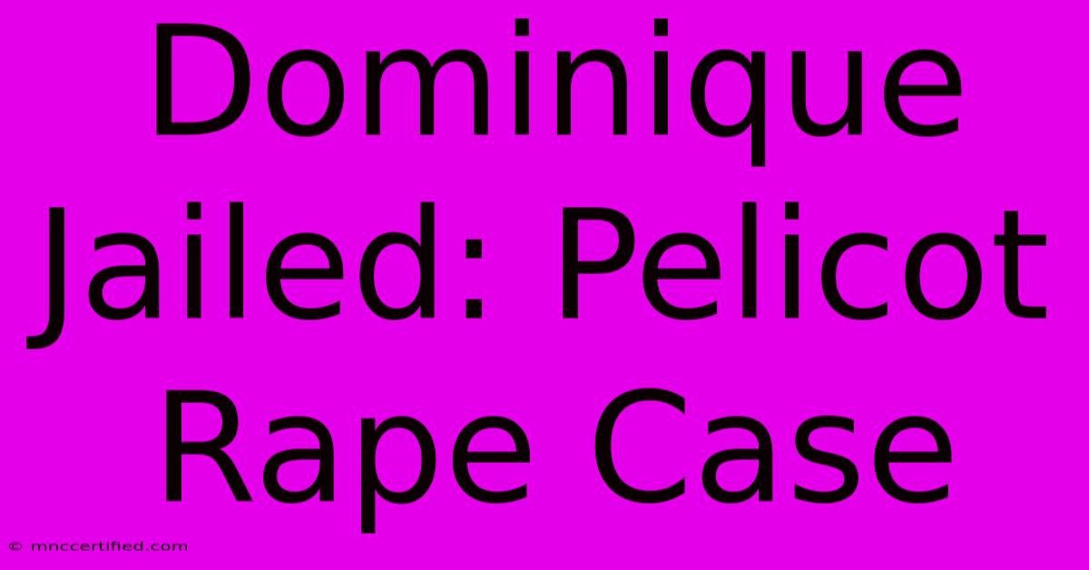 Dominique Jailed: Pelicot Rape Case