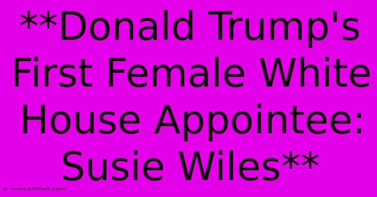 **Donald Trump's First Female White House Appointee: Susie Wiles**