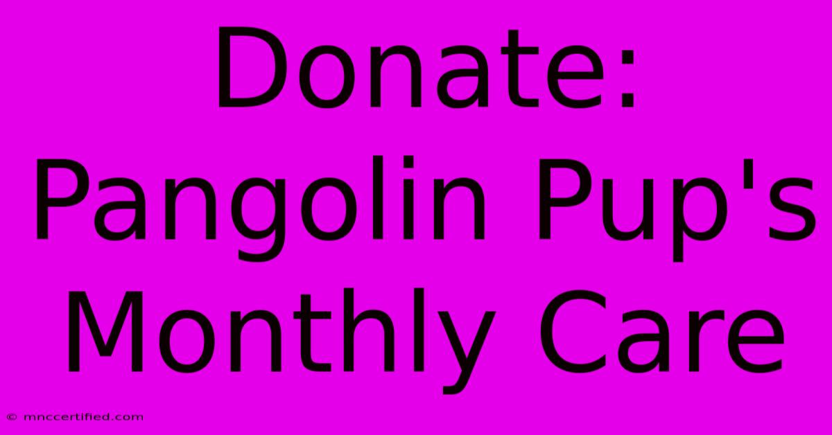 Donate: Pangolin Pup's Monthly Care