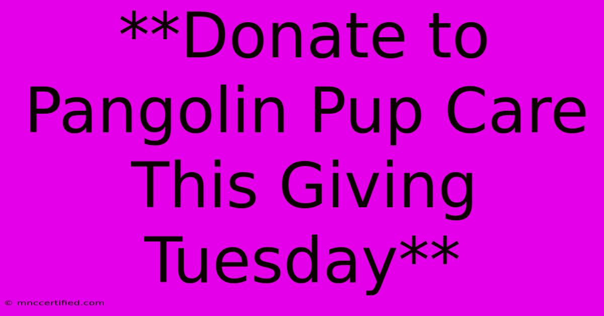 **Donate To Pangolin Pup Care This Giving Tuesday** 