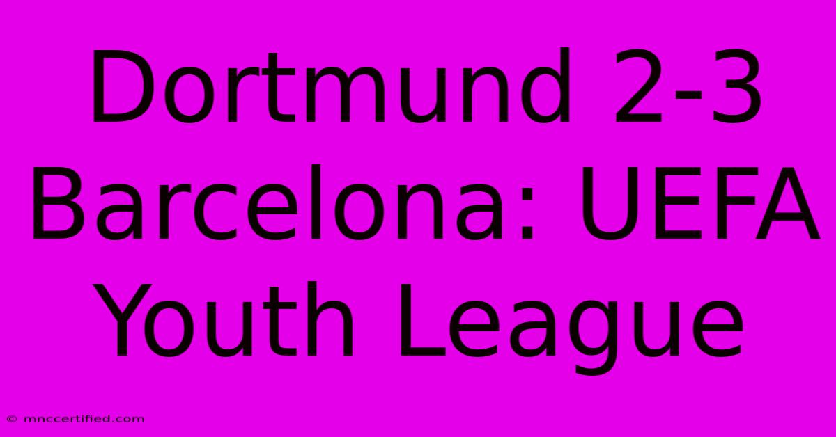 Dortmund 2-3 Barcelona: UEFA Youth League