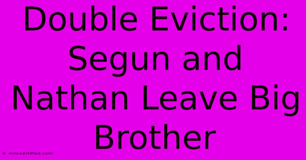 Double Eviction: Segun And Nathan Leave Big Brother