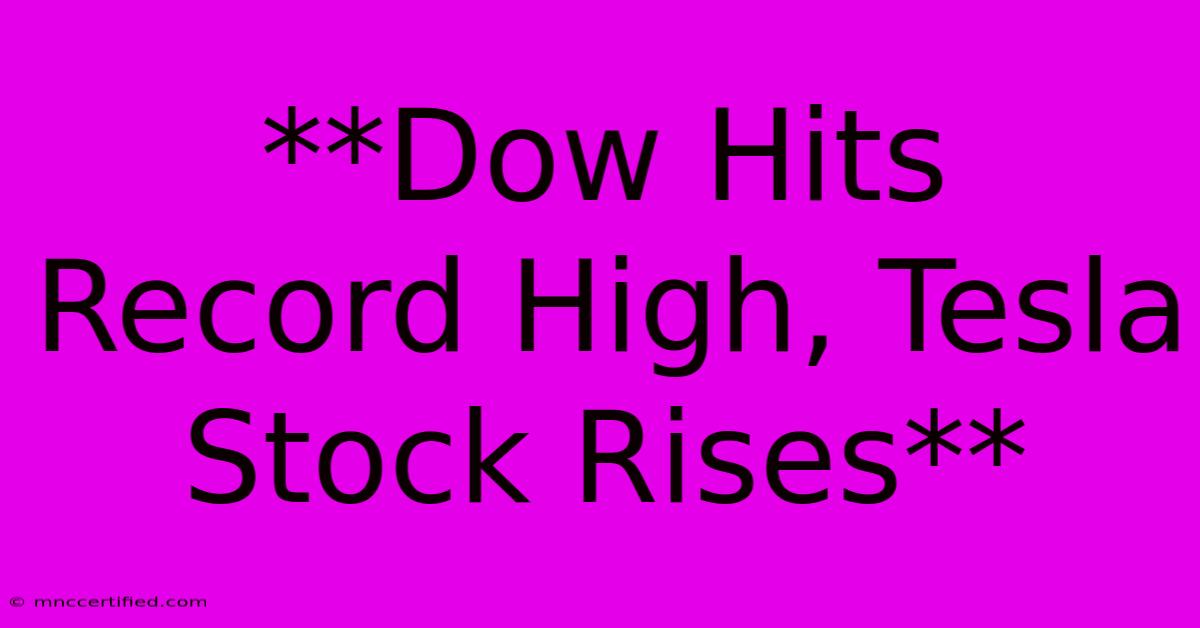 **Dow Hits Record High, Tesla Stock Rises**