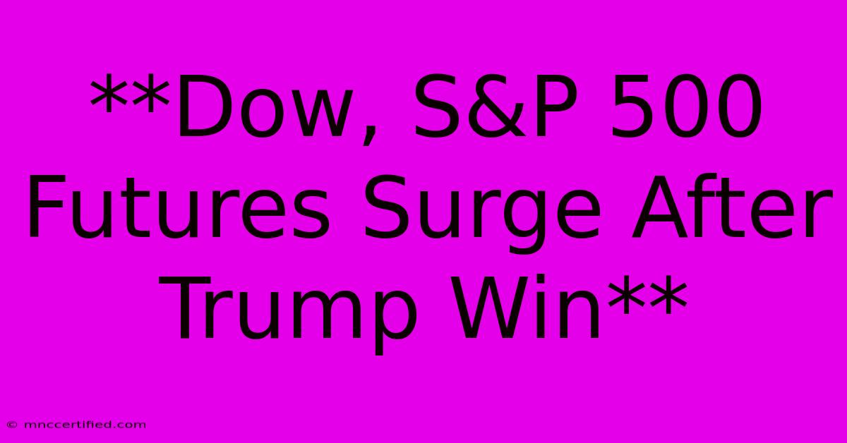 **Dow, S&P 500 Futures Surge After Trump Win**