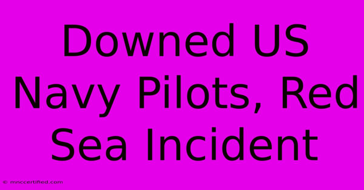 Downed US Navy Pilots, Red Sea Incident