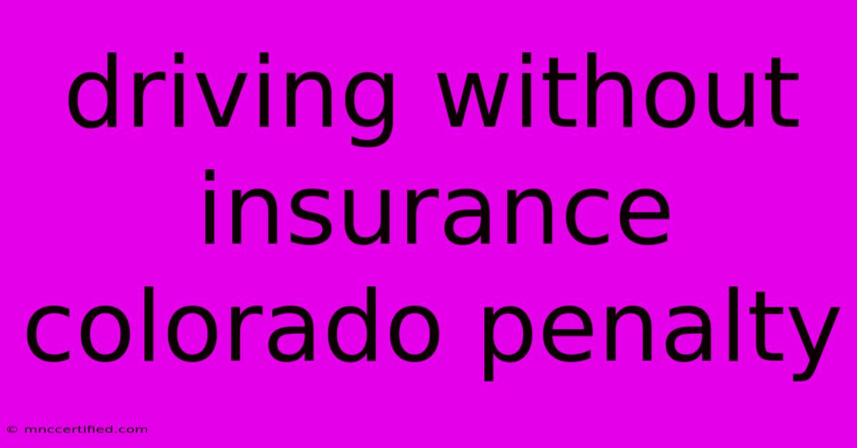 Driving Without Insurance Colorado Penalty