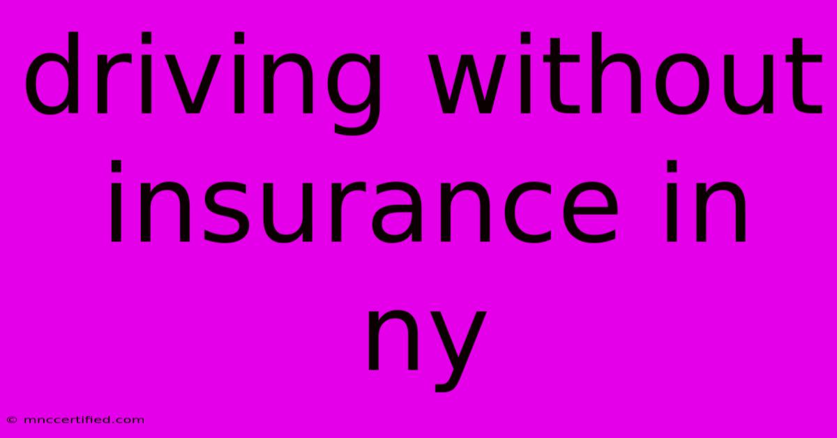 Driving Without Insurance In Ny