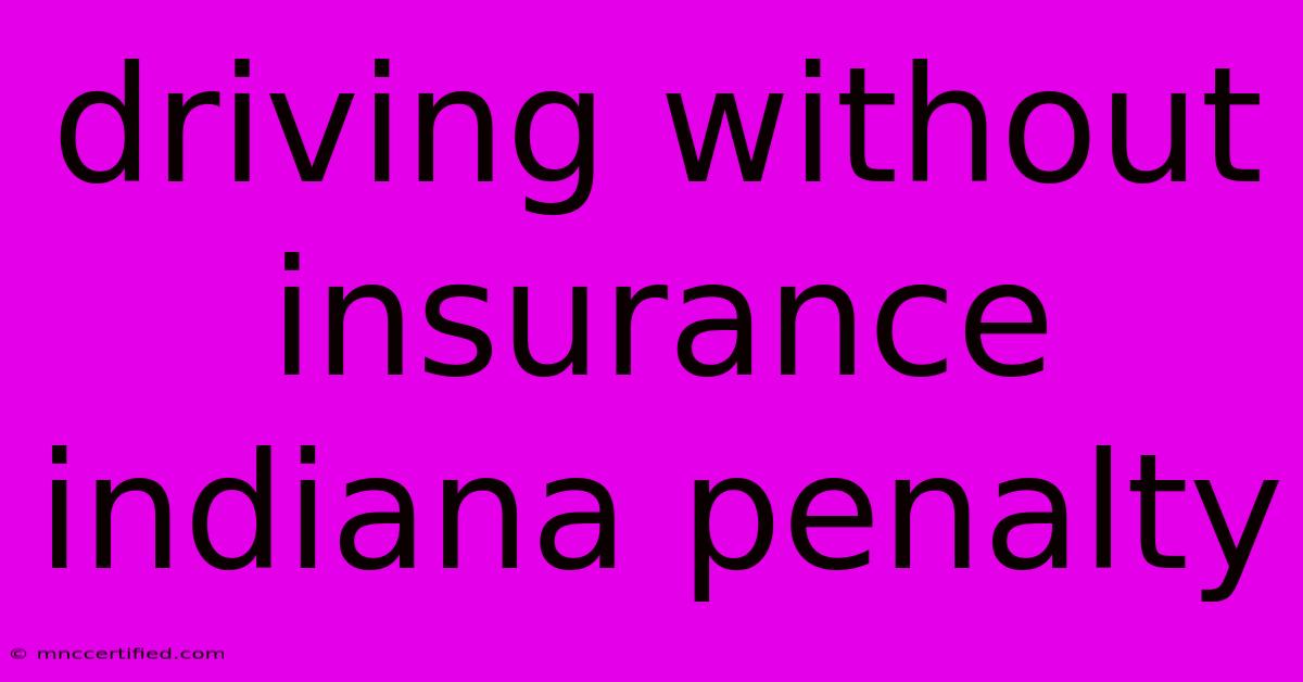 Driving Without Insurance Indiana Penalty