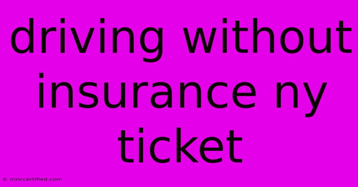 Driving Without Insurance Ny Ticket