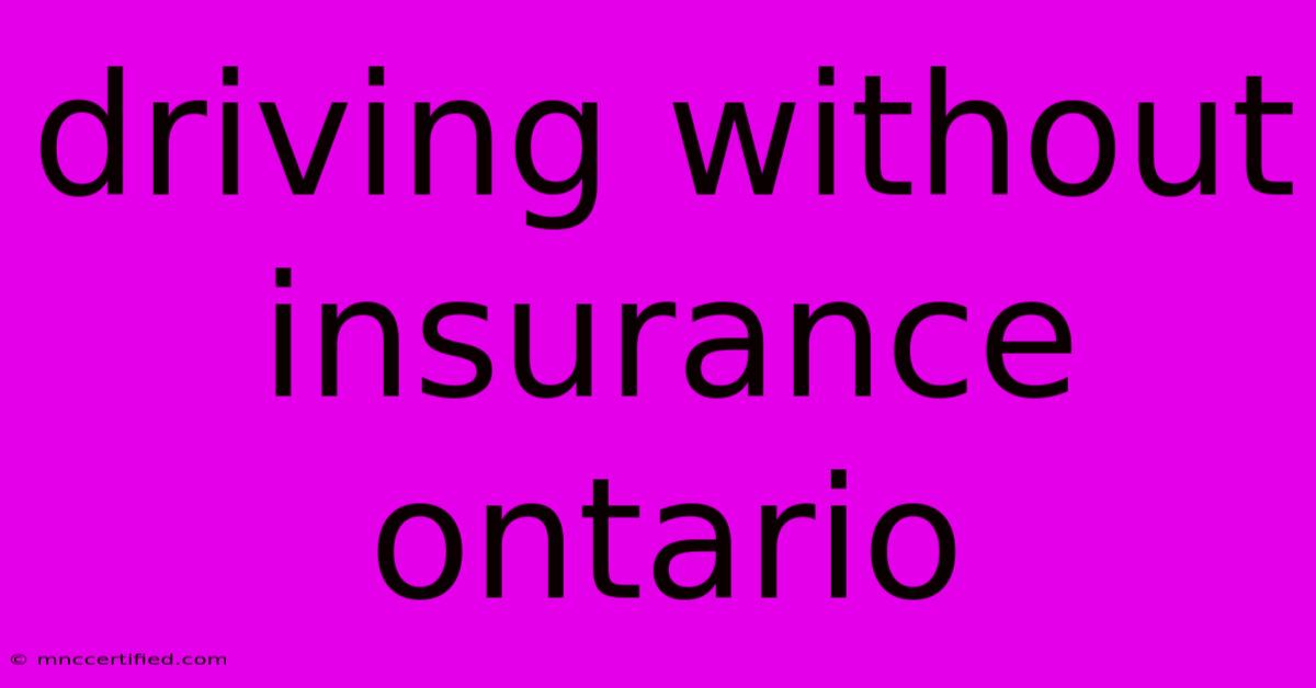 Driving Without Insurance Ontario