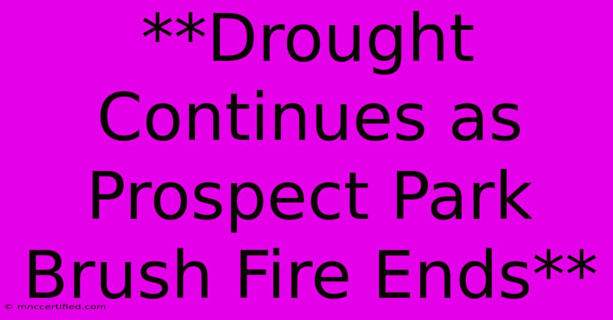 **Drought Continues As Prospect Park Brush Fire Ends** 