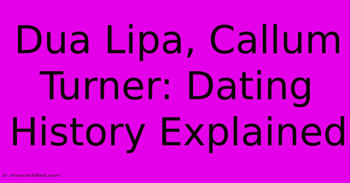 Dua Lipa, Callum Turner: Dating History Explained