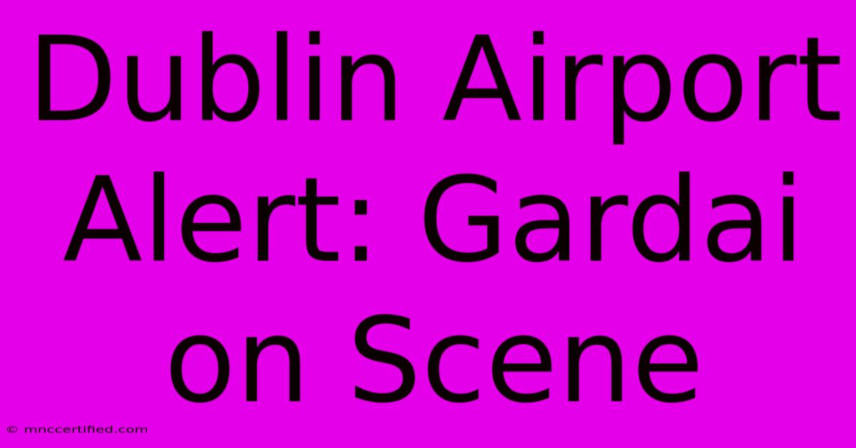 Dublin Airport Alert: Gardai On Scene