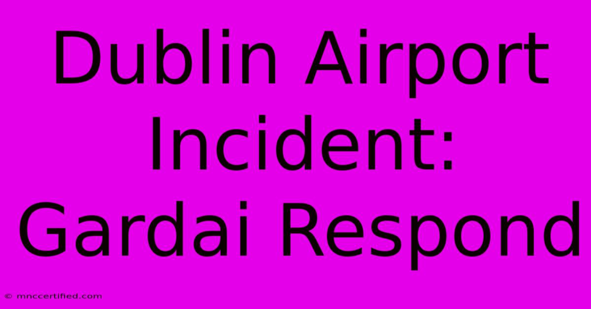 Dublin Airport Incident: Gardai Respond