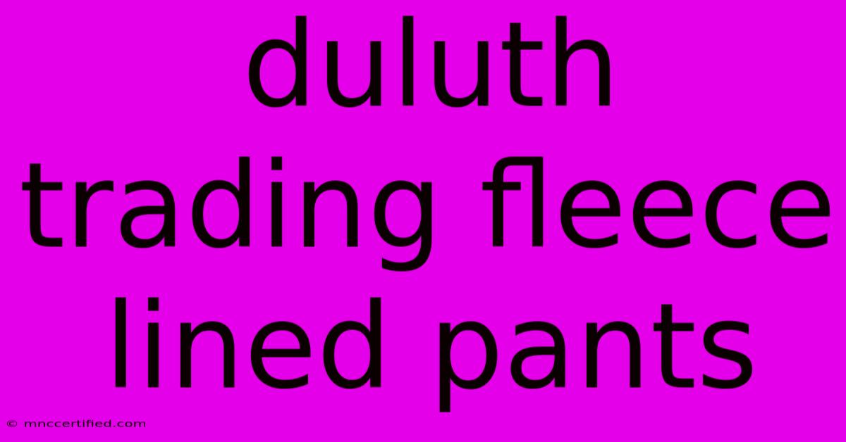 Duluth Trading Fleece Lined Pants