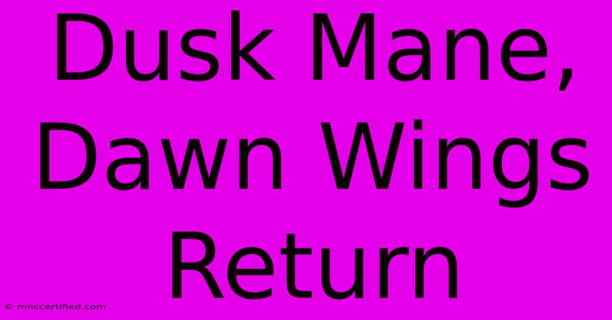 Dusk Mane, Dawn Wings Return