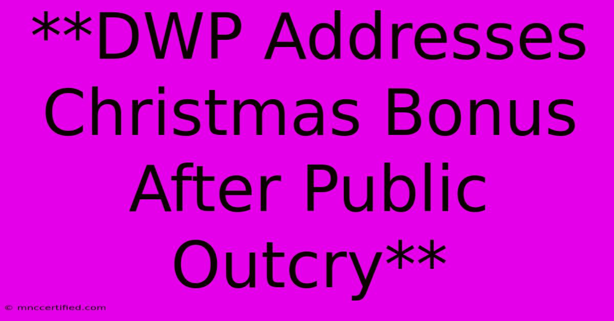 **DWP Addresses Christmas Bonus After Public Outcry**