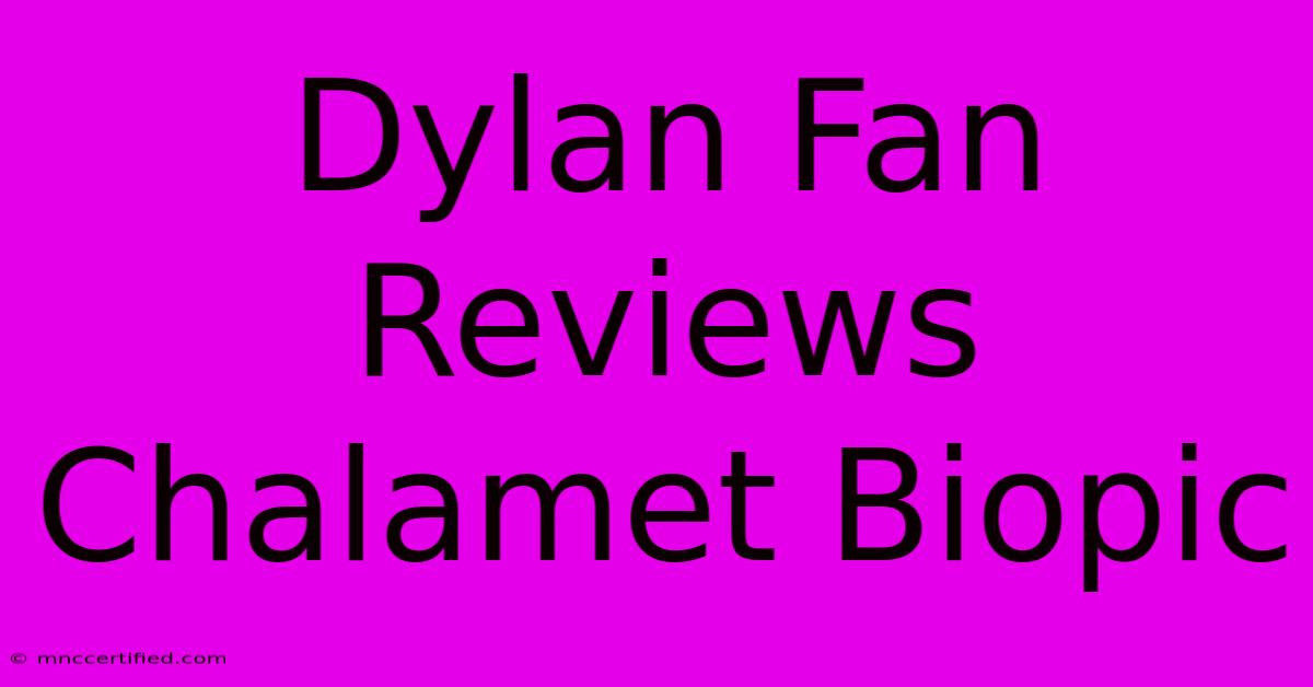 Dylan Fan Reviews Chalamet Biopic