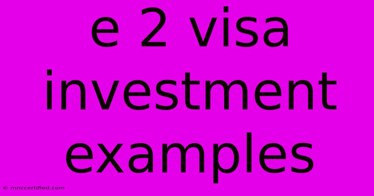 E 2 Visa Investment Examples