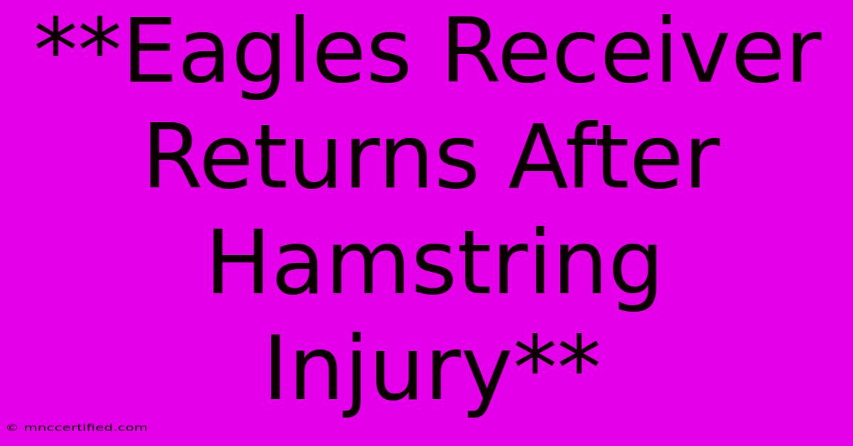 **Eagles Receiver Returns After Hamstring Injury**